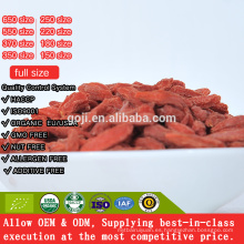 Bayas bio goji con cero pesticida / low sugar Chinese wolfberry en Ningxia